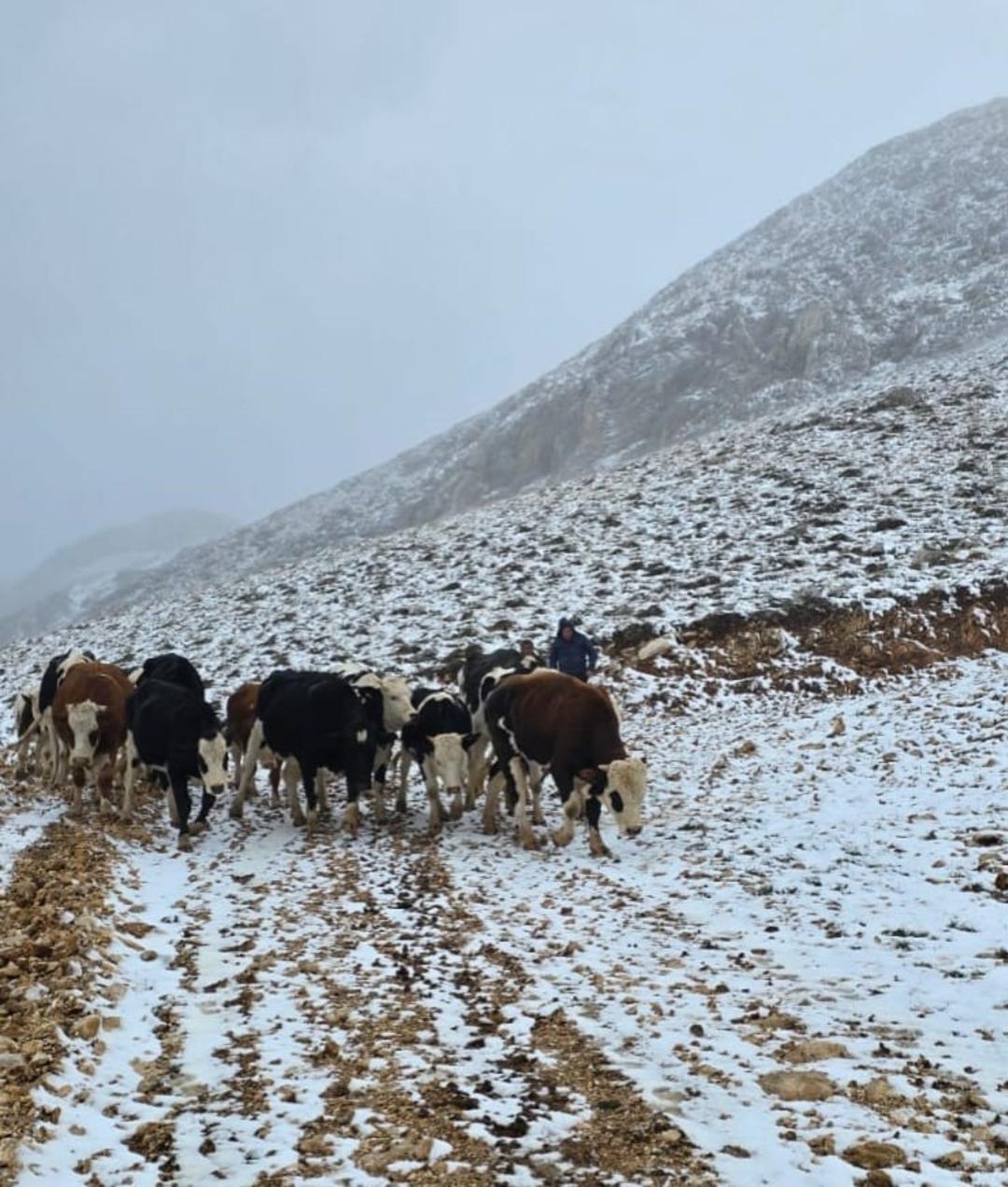 Aniden kar yağdığında yaylada mahsur kalan kadın kurtarıldı.